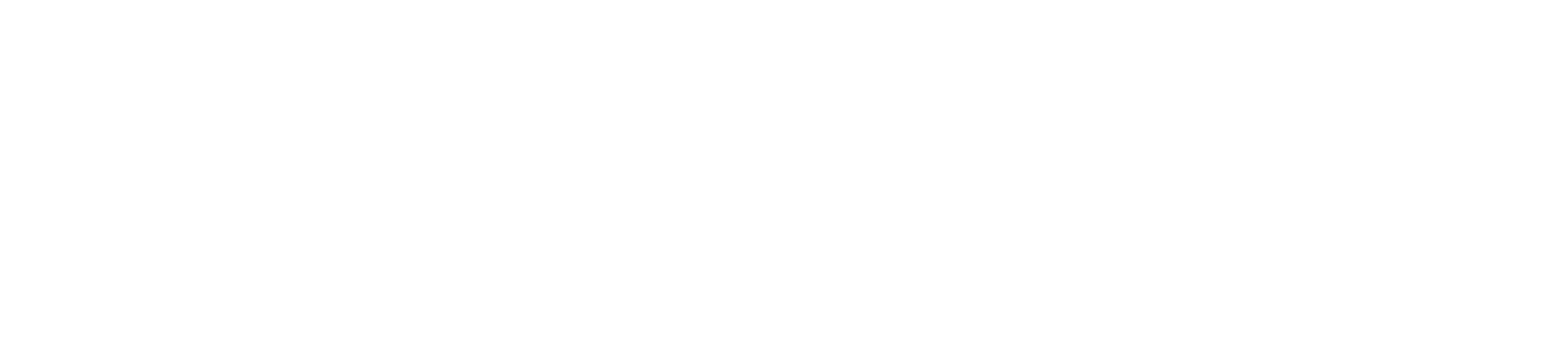 Z&Z Studio